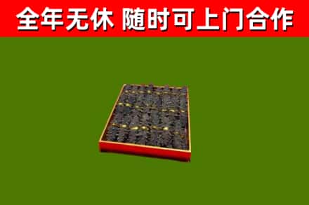 遂平回收海参
